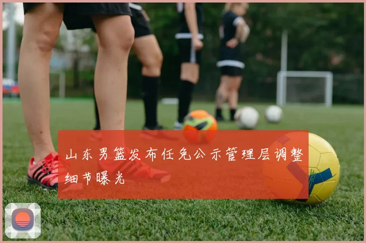 山东男篮发布任免公示管理层调整细节曝光