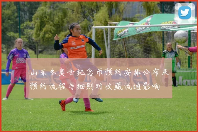 山东冬奥会纪念币预约安排公布及预约流程与细则对收藏流通影响