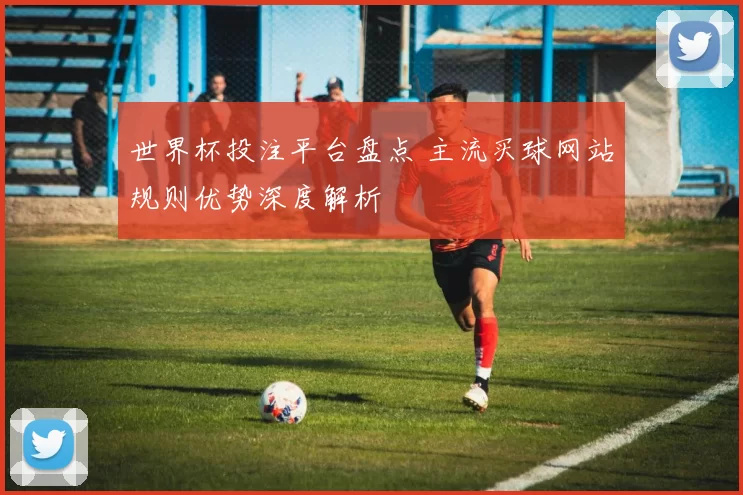 世界杯投注平台盘点 主流买球网站规则优势深度解析