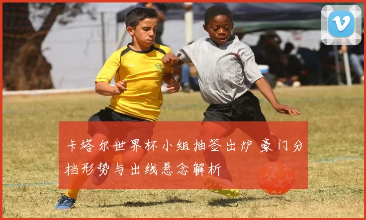 卡塔尔世界杯小组抽签出炉 豪门分档形势与出线悬念解析
