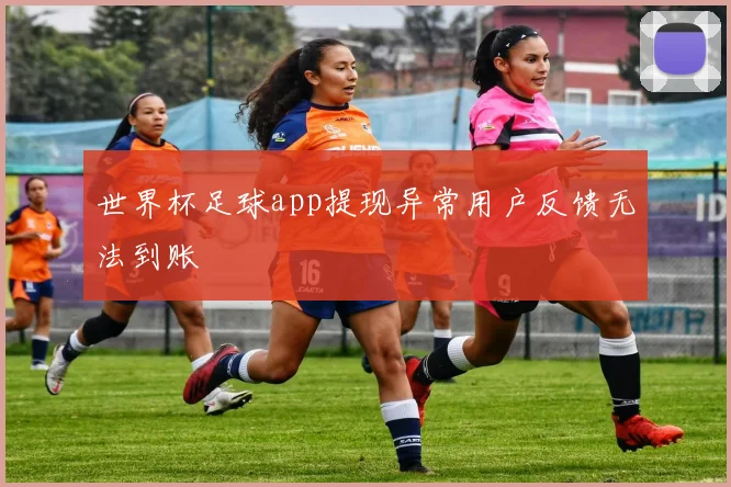 世界杯足球app提现异常用户反馈无法到账